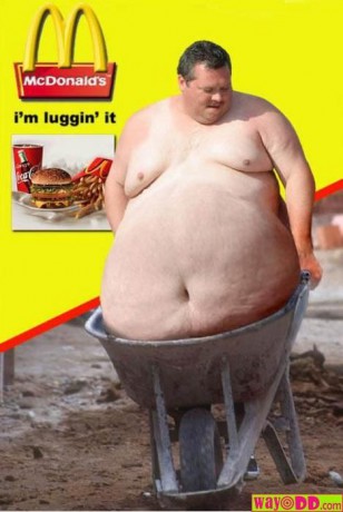 http://www.siltofkari.estranky.cz/img/mid/172/funny-pictures-new-mcdonalds-ad-zxj.jpg